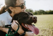 Foto de Como Manter seu Animal de Estimação Saudável e Feliz