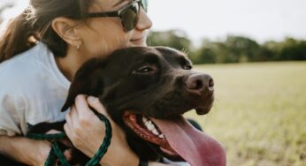 Entenda todas as profissões veterinárias