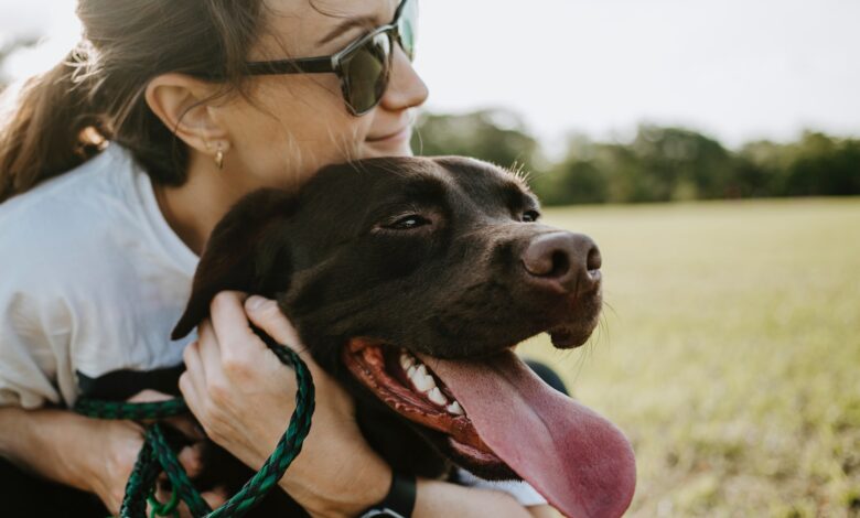 Como Manter seu Animal de Estimação Saudável e Feliz