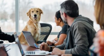 Personal Pet Escola: Saiba Tudo e Como Abrir Legalmente a Sua